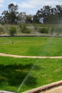 Drenko sprinkler services